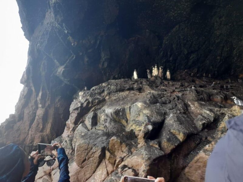 Excursion the Ballestas Islands - Important Notes