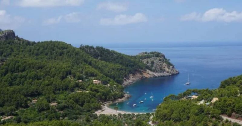 Excursion Through the Tramuntana Mountains - Panoramic Views