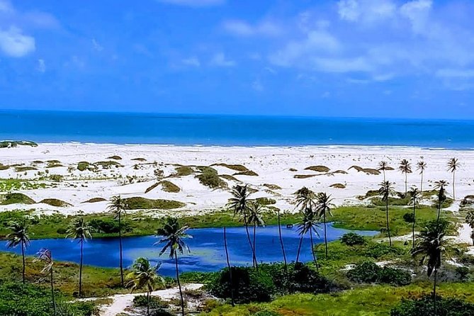 Excursion to Águas Belas With Buggy Ride to Barra Nova - Cancellation Policy