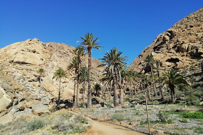 Excursion to Ajuy Caves With a Secret Las Penitas Canyon Hike - Overview of the Hiking Tour