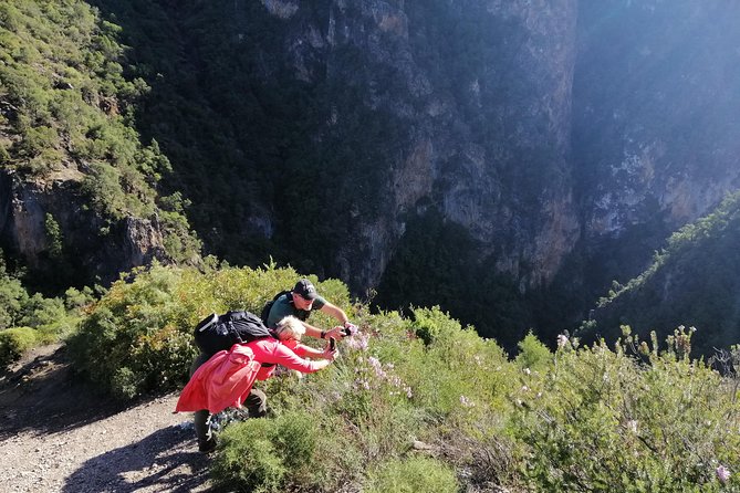 Excursion to Akchours Bridge of God (From Chefchaouen) - Exploring Talassemtane National Park