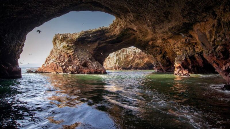 Excursion to Ballestas Islands and Paracas National Reserve - Itinerary Details