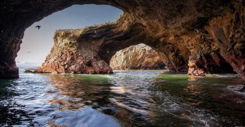 Excursion to Ballestas Islands and Paracas National Reserve - Inclusions