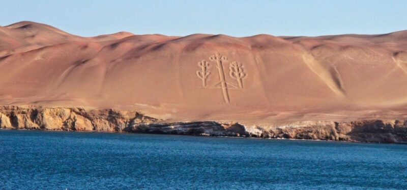 Excursion to Ballestas Islands and Paracas National Reserve - Pickup and Transportation
