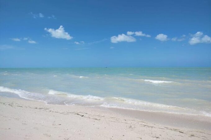 Excursion to Celestun, Swimming, Hiking & Boat Ride - Duration and Price