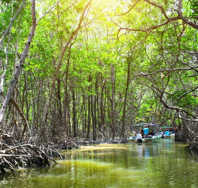 Excursion to Celestun, Swimming, Hiking & Boat Ride - Cancellation and Refund Policy