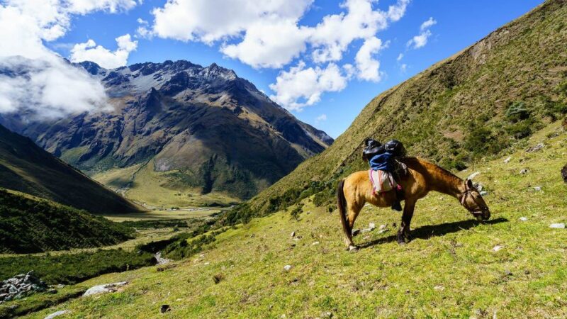 Excursion to Cusco Machu Picchu in 7 Days 6 Nights - Airport Transfers