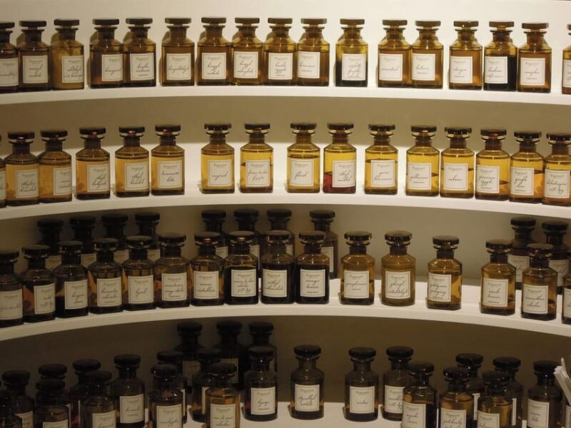 Excursion to Eze and Monaco: Half Day Shared Tour 5h - Visiting the Fragonard Perfumery
