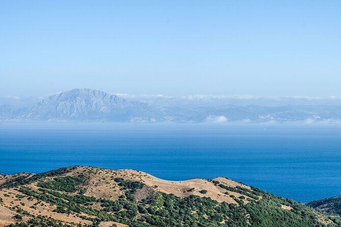 Excursion to Gibraltar With Rock Tour From Malaga - Tour Overview and Highlights