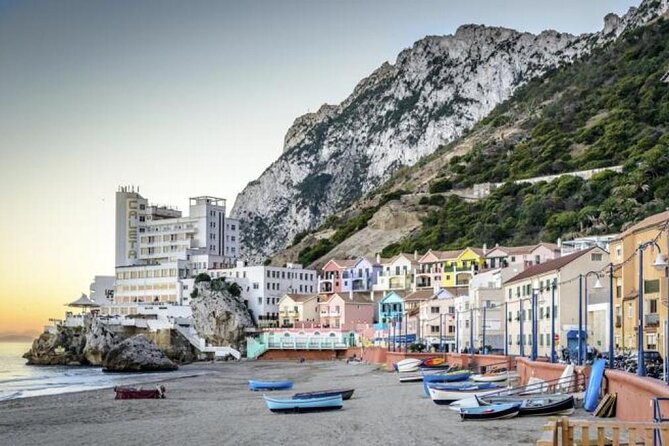 Excursion to Gibraltar With Rock Tour From Malaga - Barbary Macaques: Natures Wonders