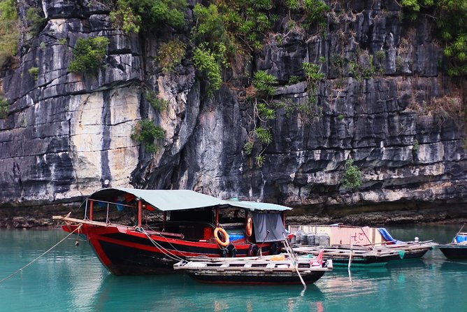 Excursion to Ha Long Bay With Titop Island and Kayaking in Luon Cave - Seafood Lunch and Sunset Party