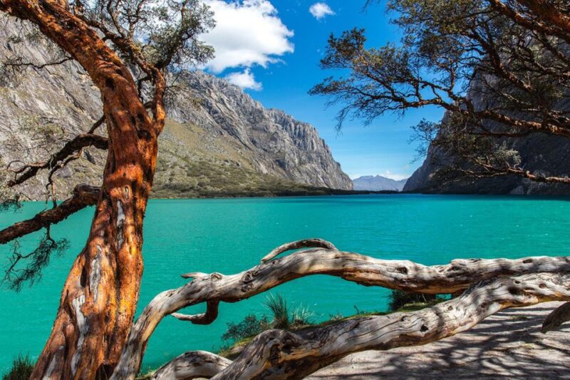 Excursion to Huascaran National Park + Chinancocha Lagoon - Key Points