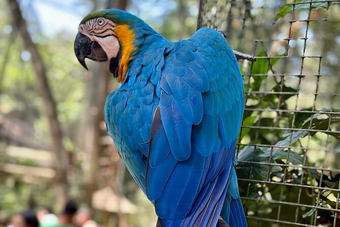 Excursion to Iguaçu Falls, Bird Park and Itaipu Dam - Navigating the Pickup and Meeting Points
