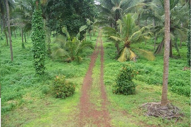 Excursion to Karkala and Moodabidri From Mangalore With Lunch - Moodabidri Highlights