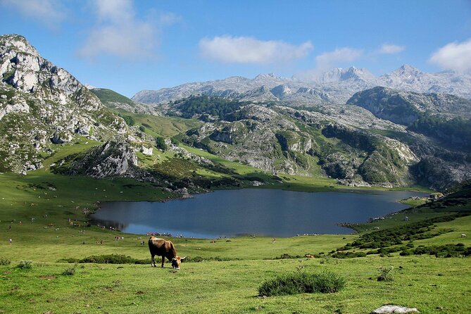 Excursion to Lakes of Covadonga and Cangas De Onís From Oviedo - Traveler Experiences