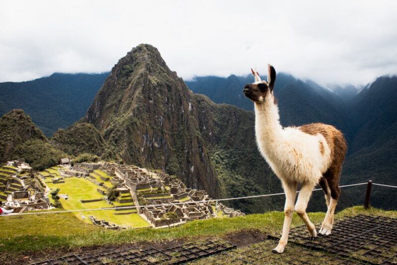 Excursion to Machupicchu Full Day Witch Lunch - Important Information