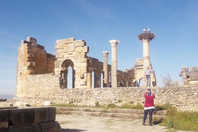 Excursion to Meknes and Volubilis - Tour Type and Pricing