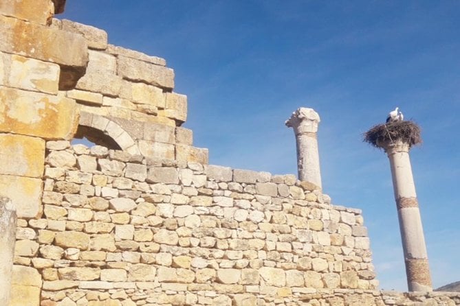 Excursion to Meknes and Volubilis - Cancellation Policy