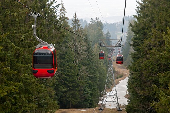 Excursion to Mount Pilatus - the Golden Round Trip With a Local From Lucerne - Reviews and Feedback Highlights
