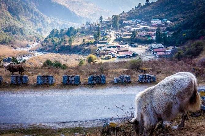 Excursion to North Sikkim Lachen and Lachung 6 Days - Itinerary and Activities
