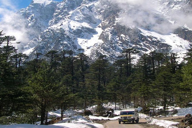 Excursion to North Sikkim Lachen and Lachung 6 Days - Review and Ratings