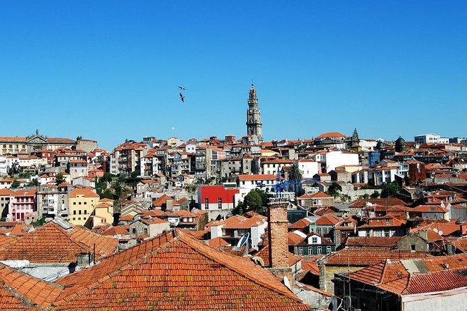 Excursion to Oporto From Santiago De Compostela - Itinerary Details