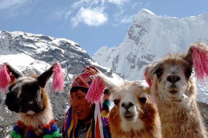 Excursion to Palcoyo Rainbow Mountain Full Day From Cusco. - Highlights of Palcoyo Mountain