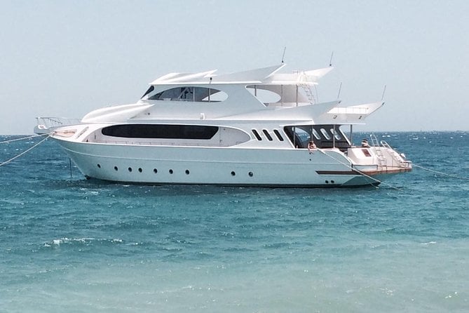 Excursion to Paradise Island From Hurghada / Makadi Bay / Sahl Hasheesh / El Gouna - Seasonal Considerations and Recommendations