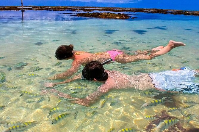 Excursion to Paripueira Beach From Maceió - Inclusions and Pricing