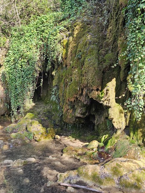Excursion to Plitvice National Park - Good To Know