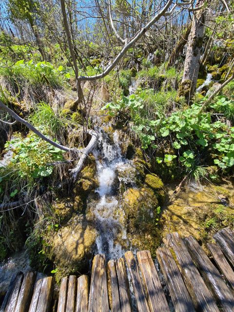 Excursion to Plitvice National Park - Ticket Pricing Details