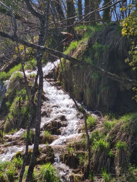 Excursion to Plitvice National Park - Important Traveler Information