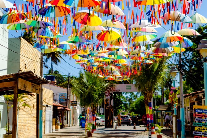 Excursion to Porto De Galinhas in Pernambuco - Recommended Activities