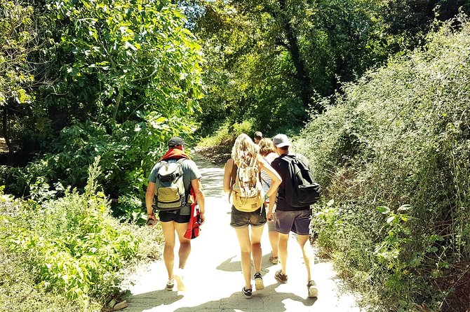 Excursion to Richtis Gorge & Waterfall - Duration and Participant Details