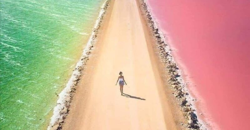 Excursion to Río Lagartos, Coloradas, and Playa Cancúnito - Key Points