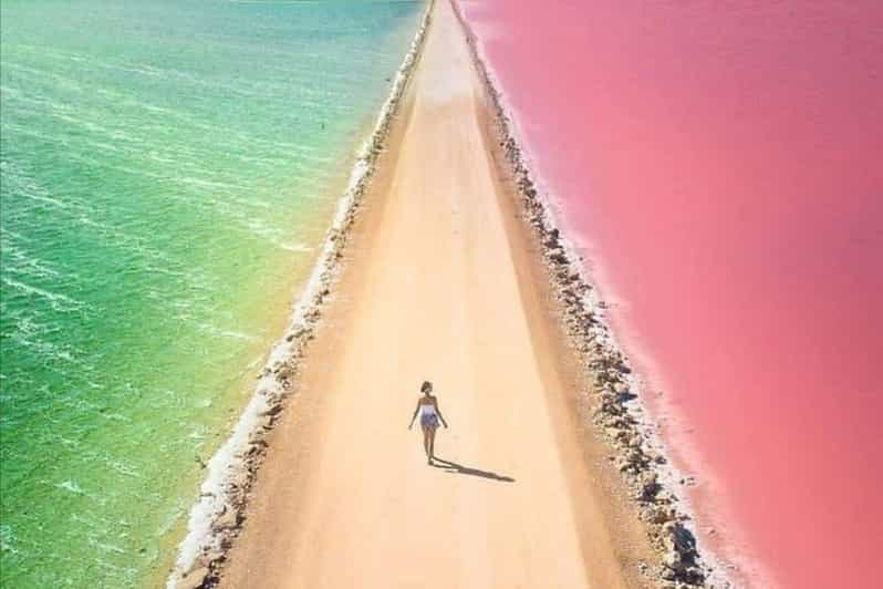 Excursion to Río Lagartos, Coloradas, and Playa Cancúnito - Itinerary Highlights