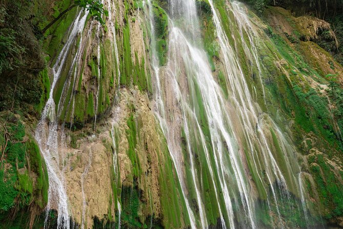 Excursion to Samaná, Cayo Levantado and El Limón Waterfall - Itinerary Highlights