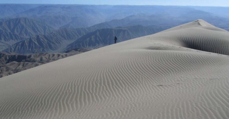 Excursion to San Fernando Bay + Sandboarding in Nazca - Key Points