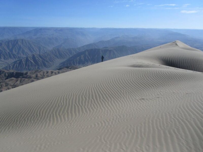 Excursion to San Fernando Bay + Sandboarding in Nazca - Activities Included