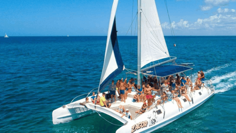 Excursion to Saona Island With Catamaran and Buffet - Food and Amenities