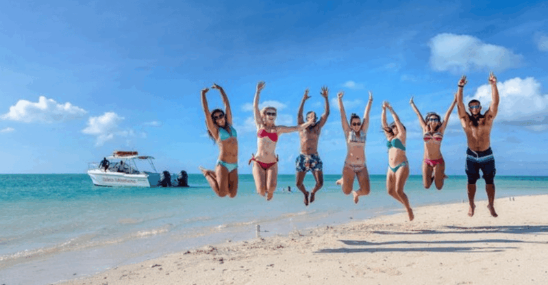 Excursion to Saona Island With Catamaran and Buffet - Guided Experience