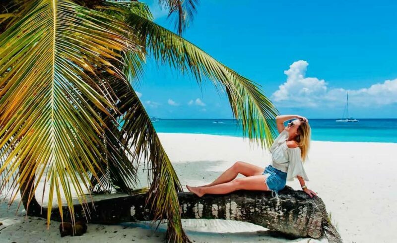 Excursion to Saona Island:Tropical Paradise whit Lunch - What Travelers Are Saying