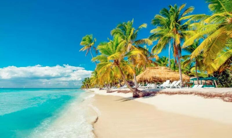 Excursion to Saona Island:Tropical Paradise whit Lunch - Who Will Love This Experience?