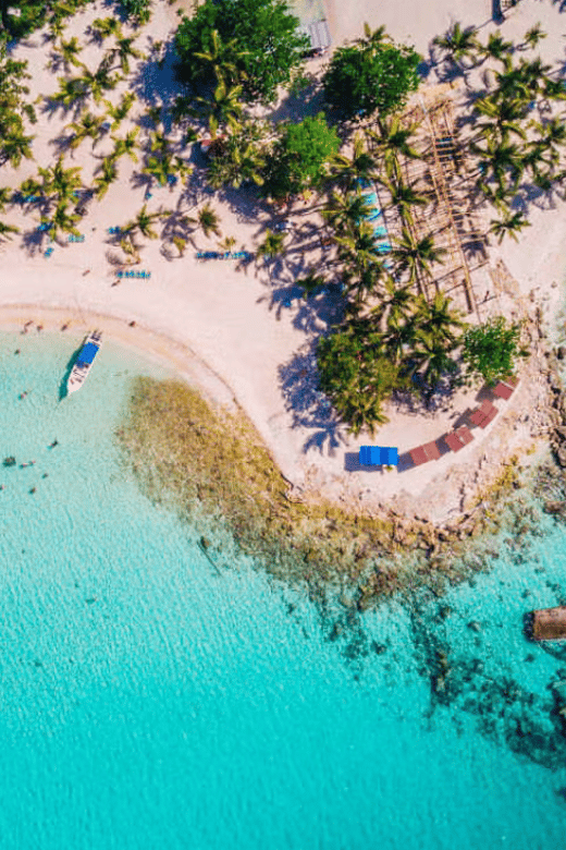 Excursion to Saona Island:Tropical Paradise Whit Lunch - Key Points