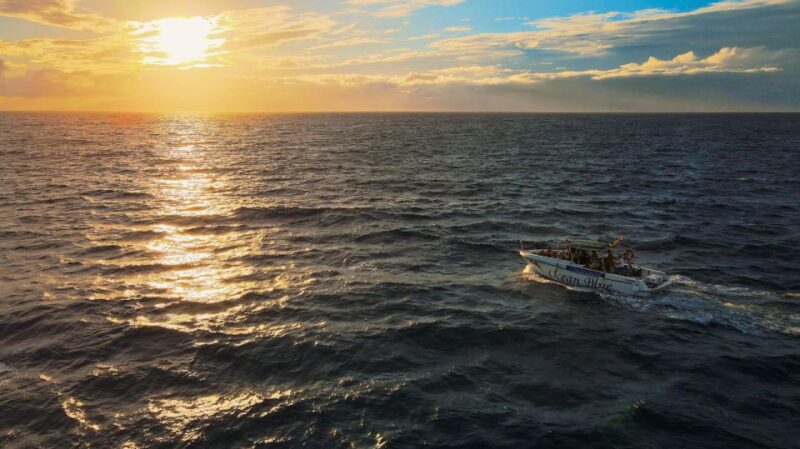 Excursion to See the Whales 2 Hours - Booking and Cancellation Policy