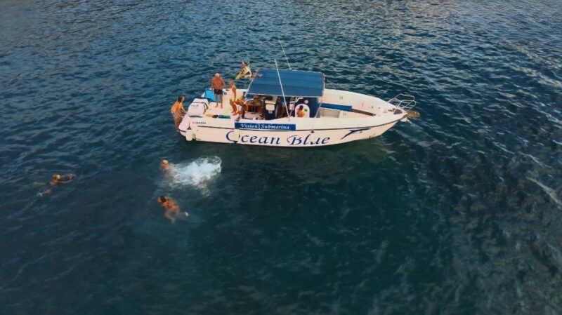 Excursion to See the Whales - 3 Hours - Booking Options