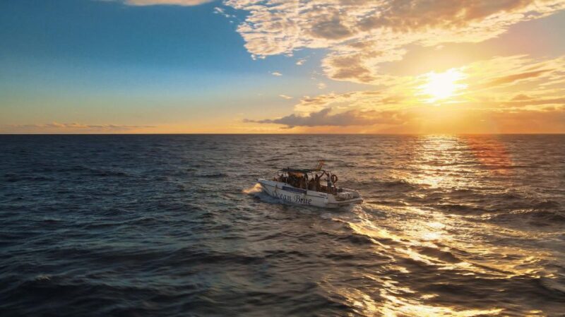 Excursion to See the Whales - 3 Hours - Frequently Asked Questions
