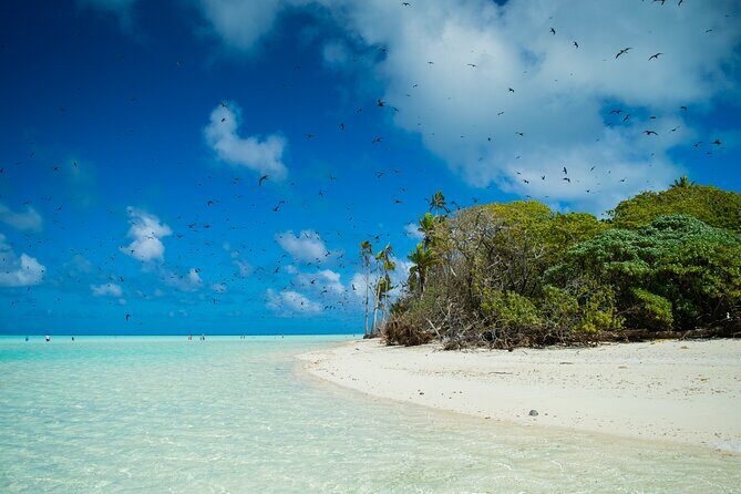 Excursion to Tetiaroa by Catamaran Visit Lunch Snorkeling - FAQ