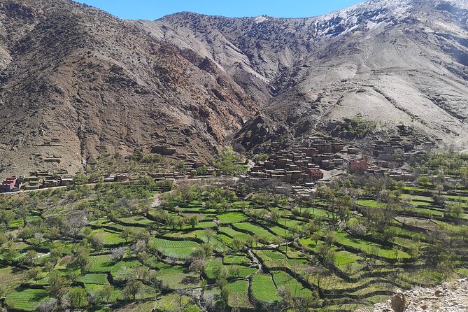 Excursion to the Atlas Mountain From Marrakech - Camel Ride and Hiking