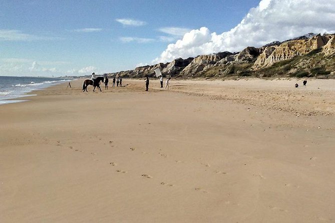 Excursion to the Beaches of Huelva From Seville - Private Tour - Customer Reviews
